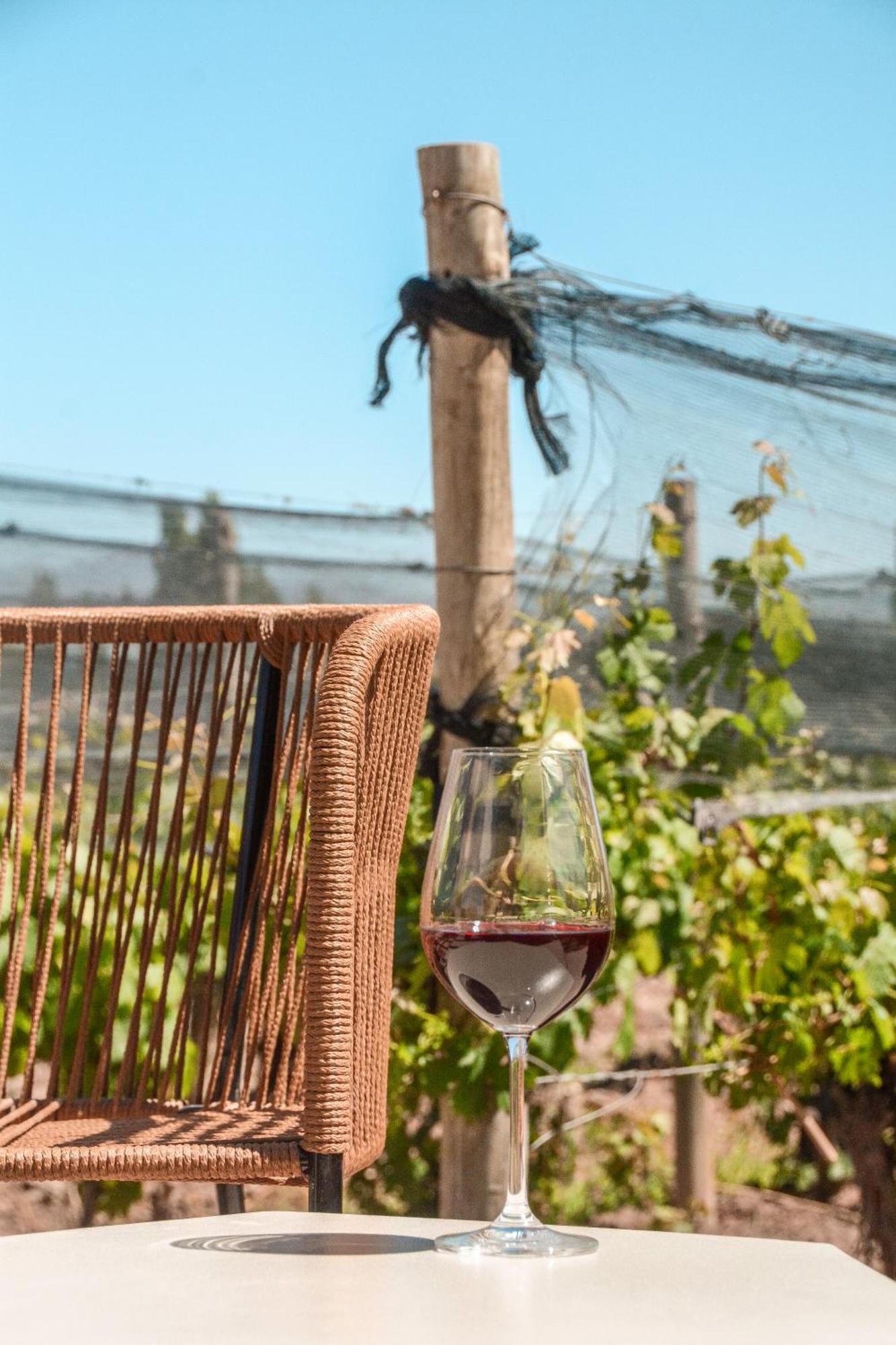 Agrelo Vines Lodge Exteriör bild