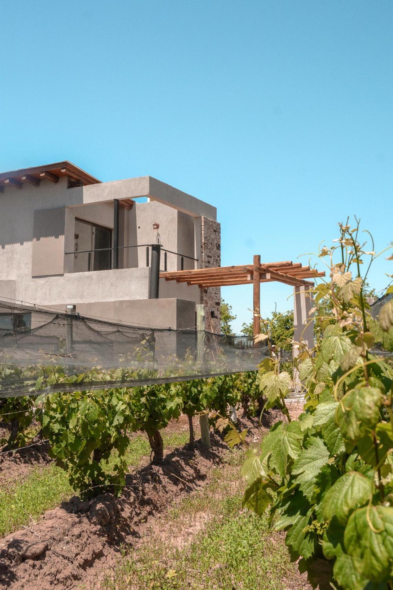 Agrelo Vines Lodge Exteriör bild