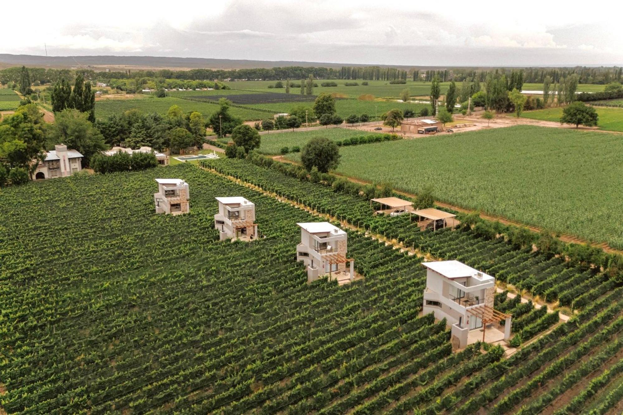 Agrelo Vines Lodge Exteriör bild